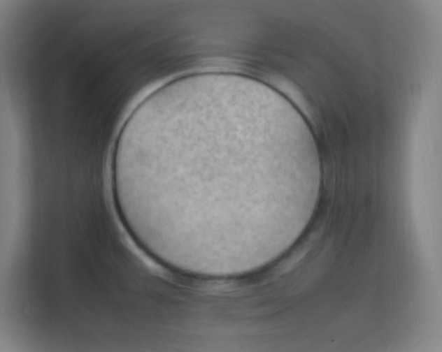 X0000111471387200908101106