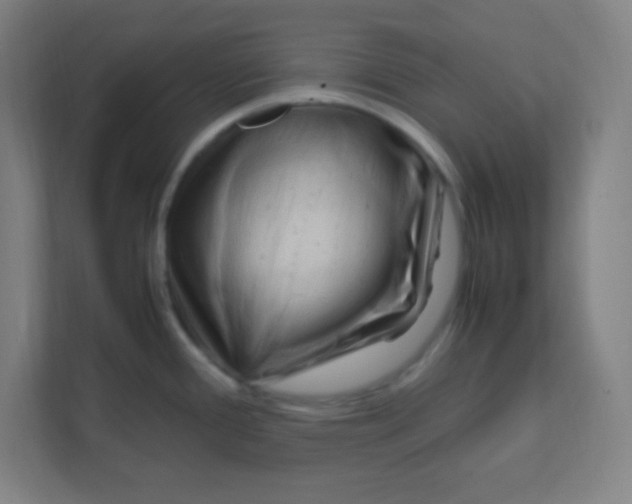 X0000111471388200908101106