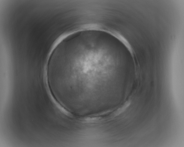 X0000111471389200908101106