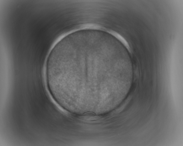 X0000111471391200908101106