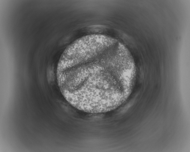 X0000111471394200908101105