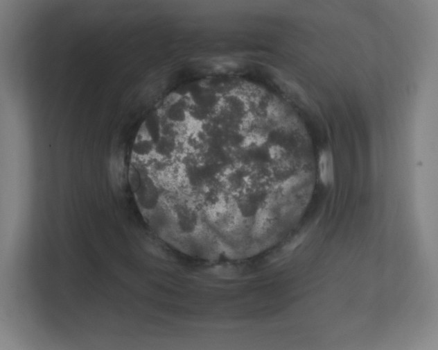 X0000111471395200908101105