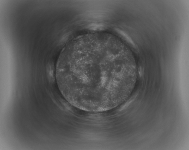 X0000111471396200908101105