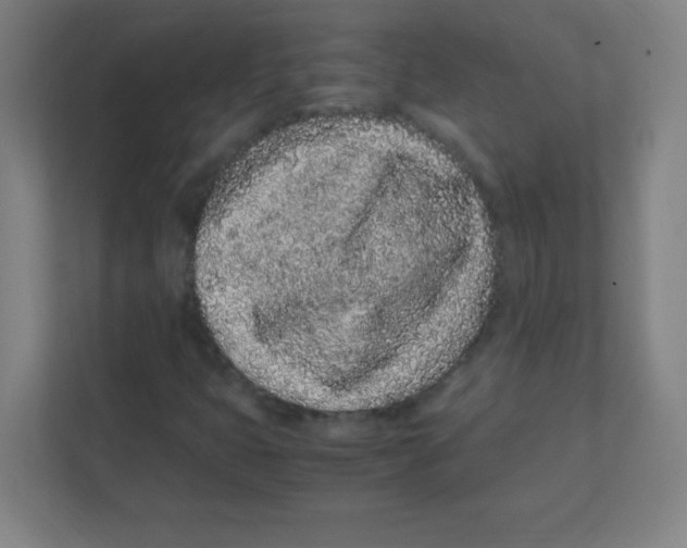 X0000111471399200908101105