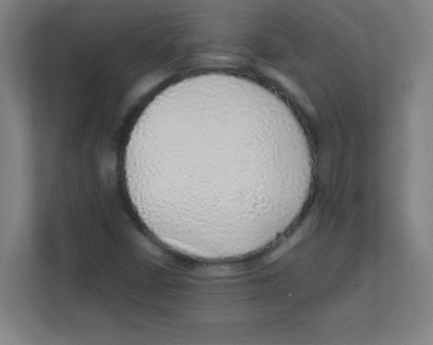 X0000111471402200908101105