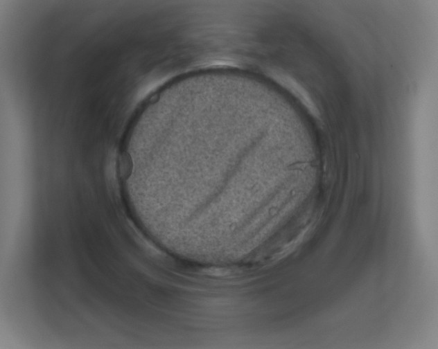 X0000111471404200908101105