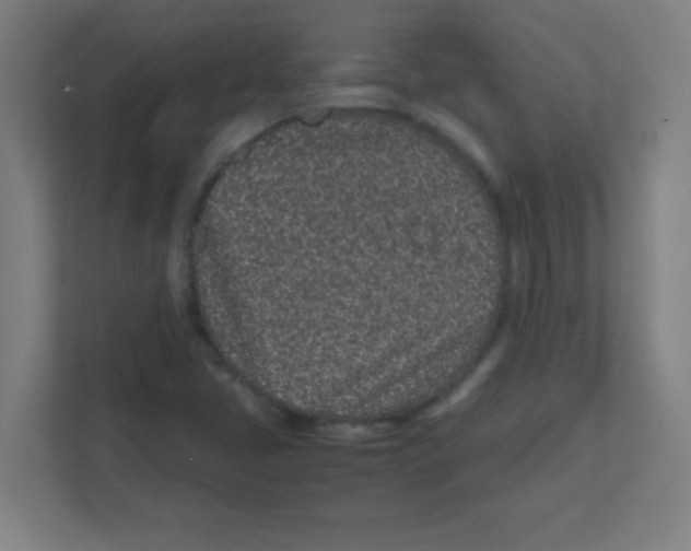 X0000111471405200908101105