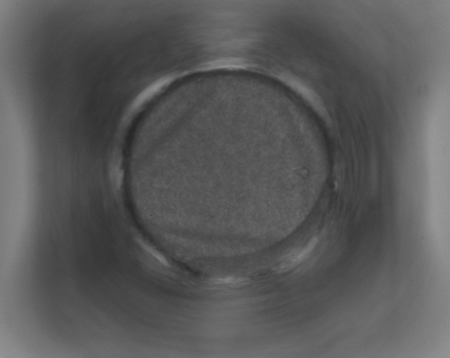 X0000111471406200908101105