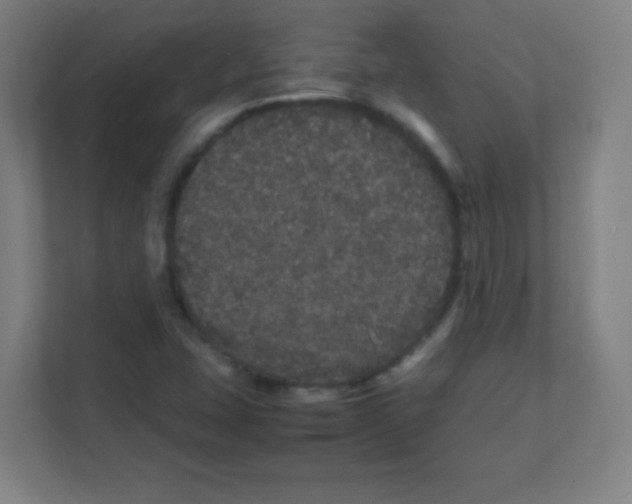 X0000111471407200908101105