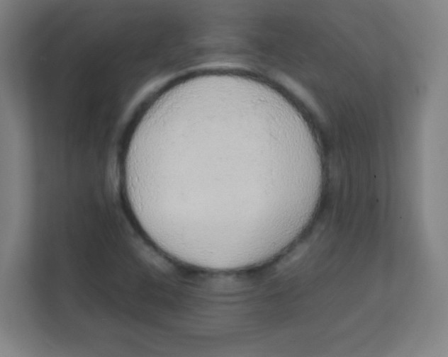 X0000111471408200908101105