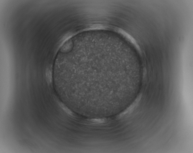 X0000111471409200908101105