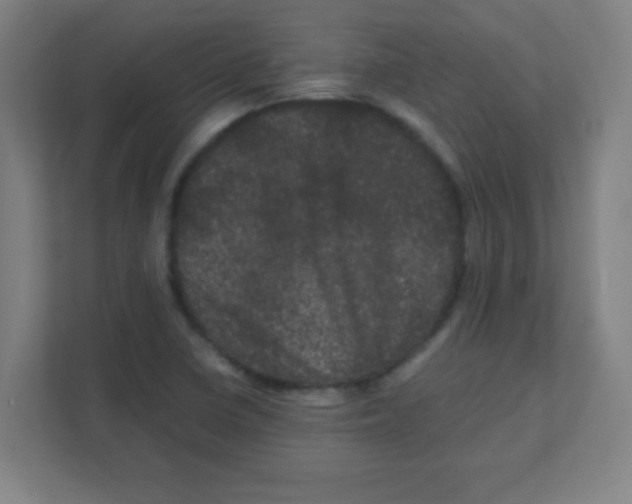 X0000111471410200908101105