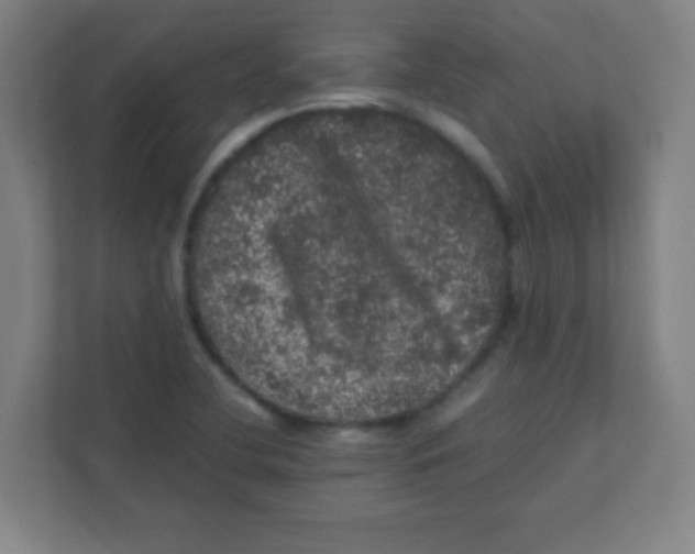 X0000111471412200908101105