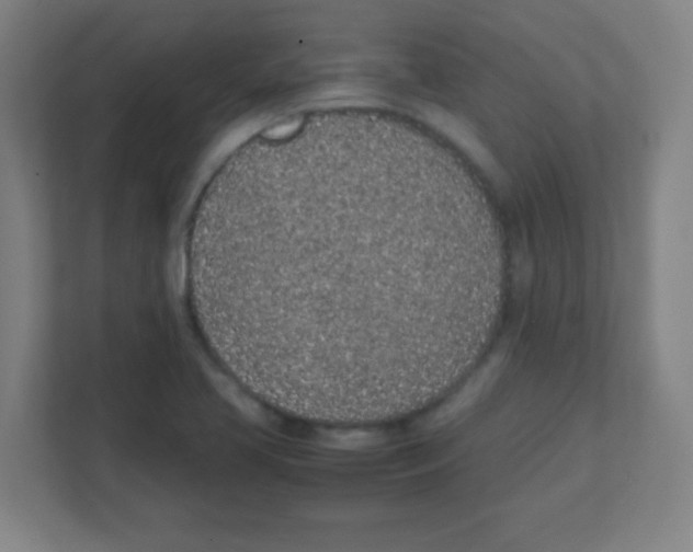 X0000111471413200908101105