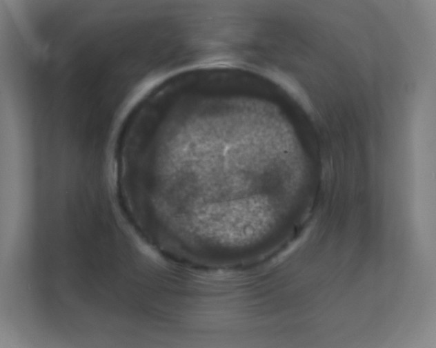 X0000111471414200908101105