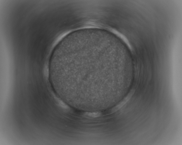 X0000111471415200908101105