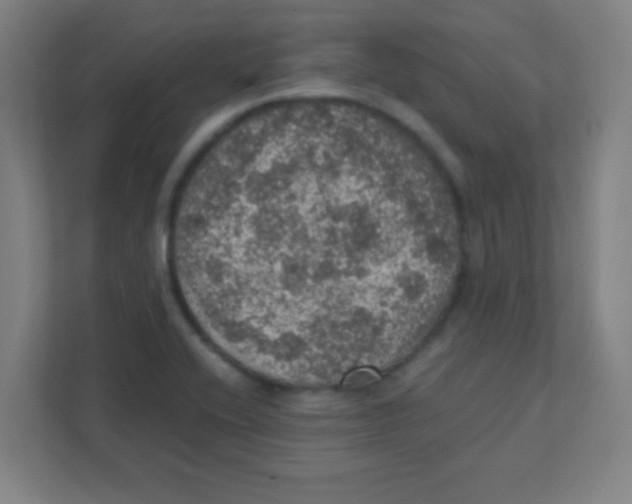 X0000111471416200908101105