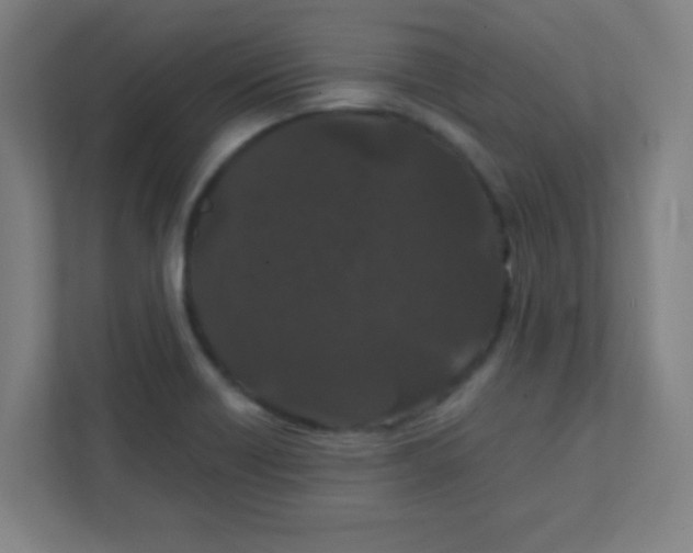 X0000111471418200908101105