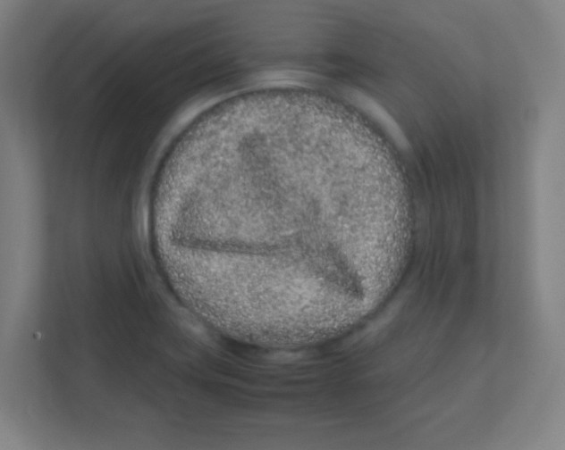 X0000111471419200908101105