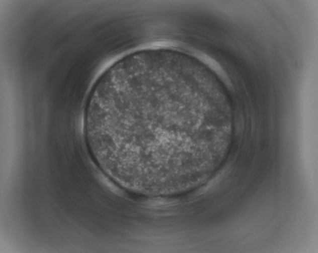 X0000111471420200908101105