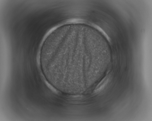 X0000111471421200908101105