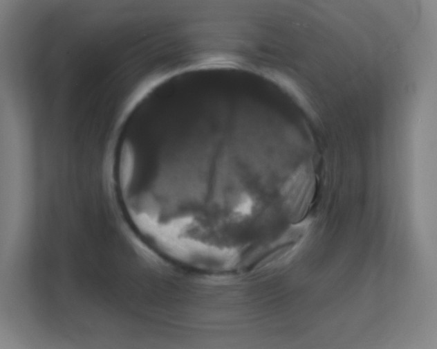 X0000111471422200908101105