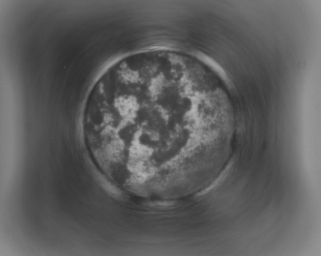 X0000111471423200908101105