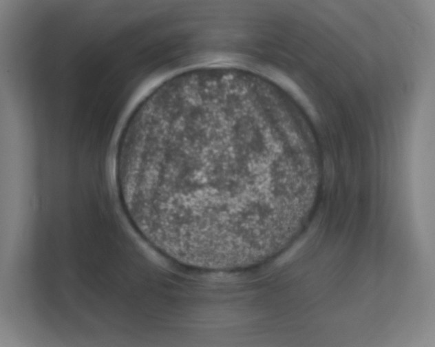 X0000111471424200908101105