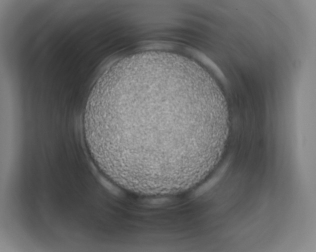 X0000111471425200908101106