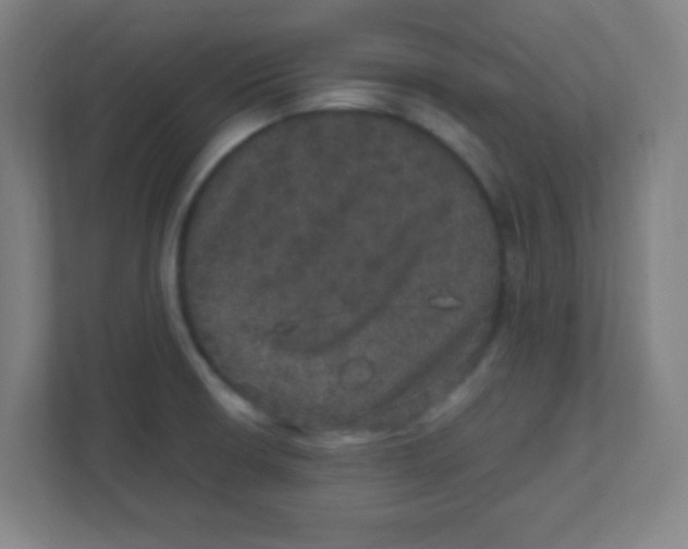 X0000111471426200908101106