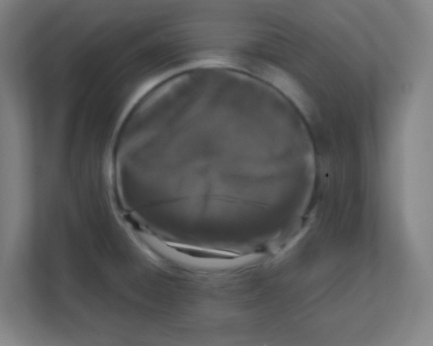 X0000111471428200908101106