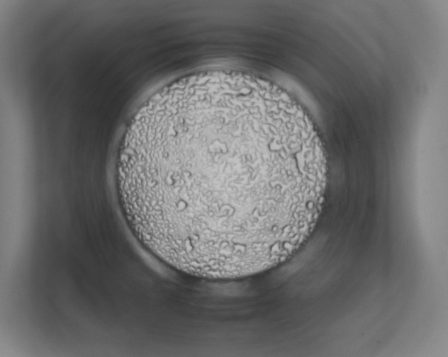 X0000111471429200908101106