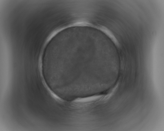 X0000111471430200908101106