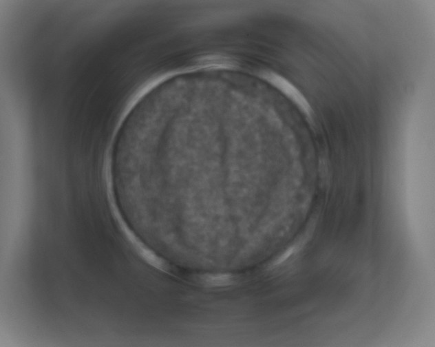 X0000111471431200908101106