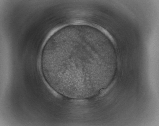 X0000111471432200908101106