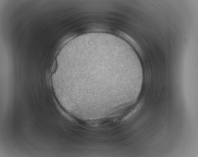 X0000111471433200908101106