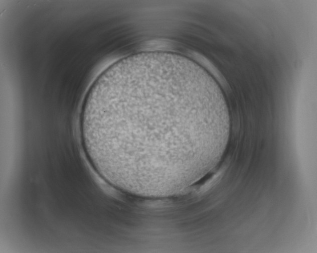 X0000111471434200908101106