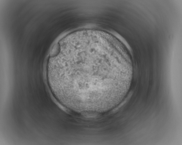 X0000111471437200908101106