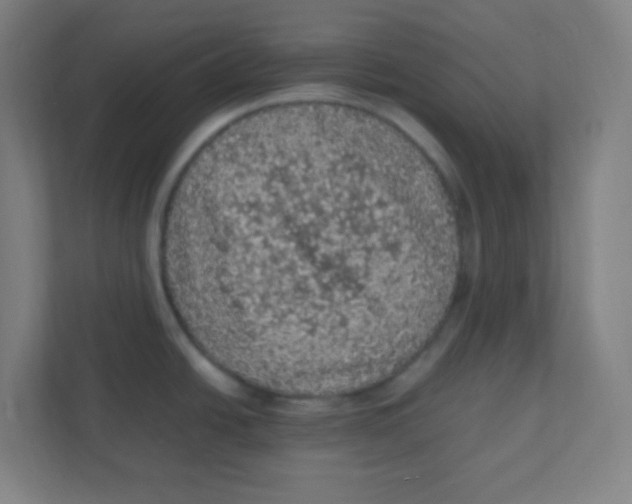 X0000111471438200908101106