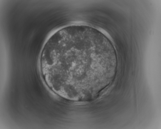 X0000111471440200908101106