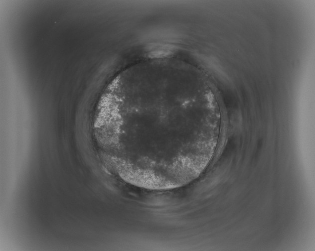 X0000111471441200908101105