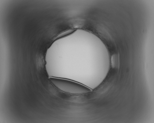 X0000111471443200908101105