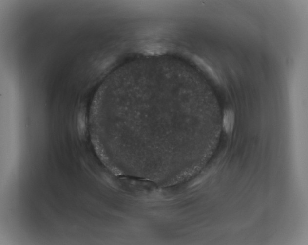 X0000111471444200908101105