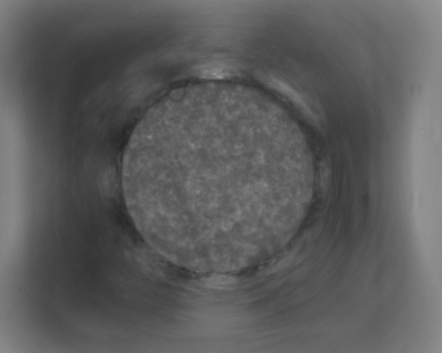 X0000111471446200908101105