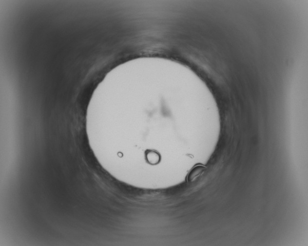 X0000111471447200908101105