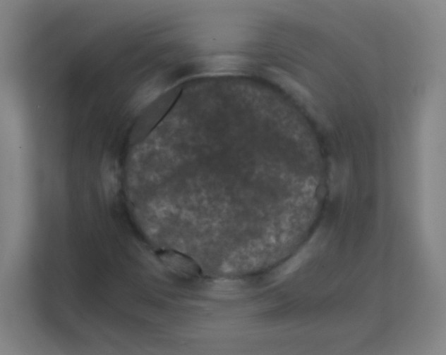 X0000111471449200908101105