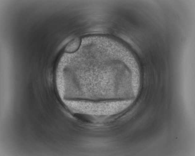 X0000111471450200908101105