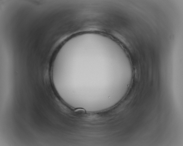 X0000111471452200908101105