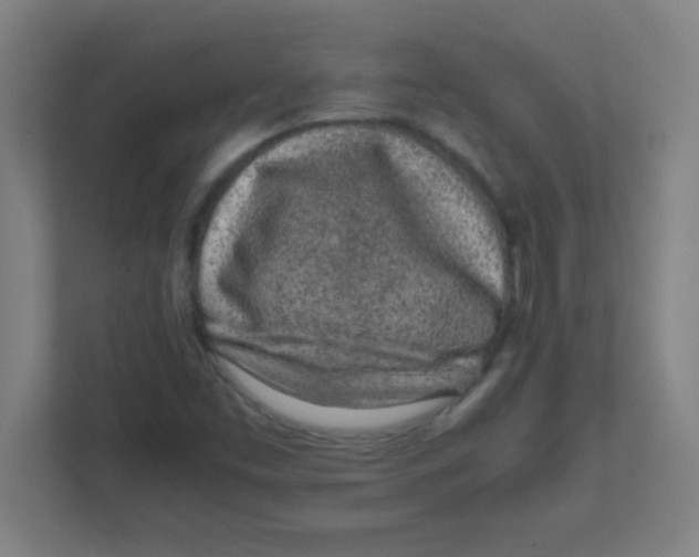 X0000111471453200908101105