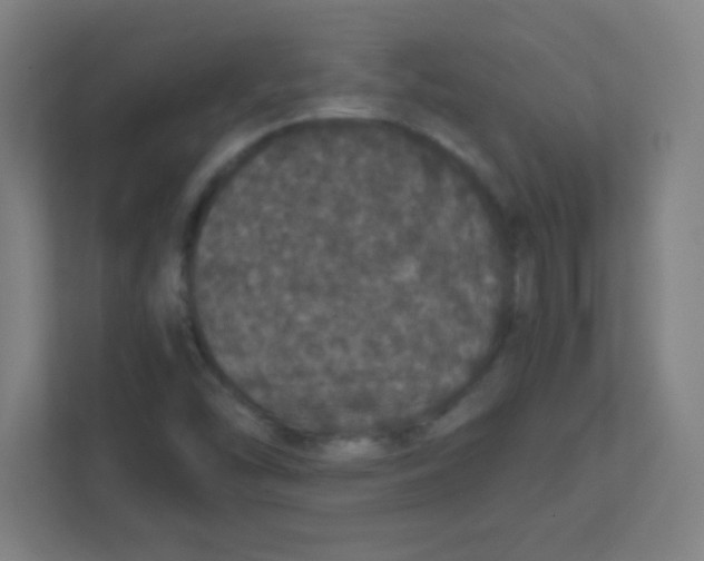 X0000111471454200908101105